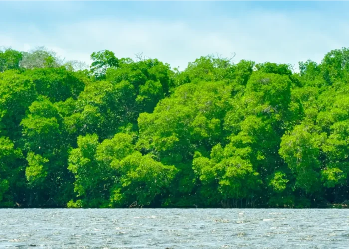 En Banacol somos Carbon Neutro